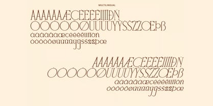 Ninkly Font Poster 6