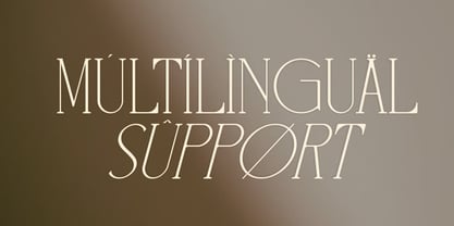 Ninkly Font Poster 7