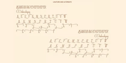 Ninkly Font Poster 4