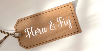 Bonnie Script Pro Font Poster 12