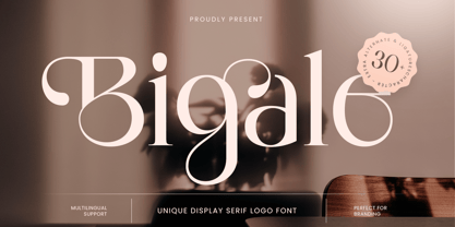 Bigale Font Poster 1