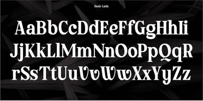 Kertalaya Serif Font Poster 4