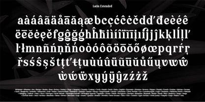 Kertalaya Serif Font Poster 7