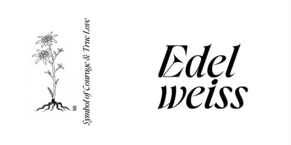 Amode Ethan Font Poster 14