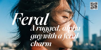 Amode Ethan Font Poster 3