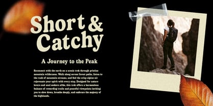Robecto Font Poster 10
