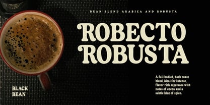 Robecto Font Poster 4