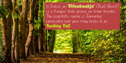 Elfenbankje Pro Font Poster 2