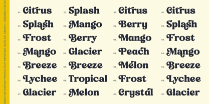 Journal Society Font Poster 4