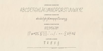 Buttercup Stories Font Poster 7