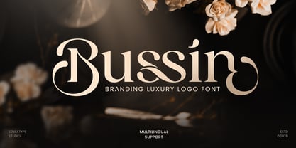 Bussin Font Poster 1