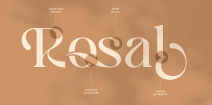 Bussin Font Poster 9
