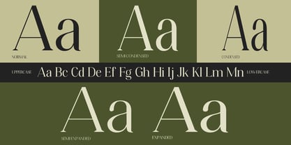 Mandational Font Poster 7