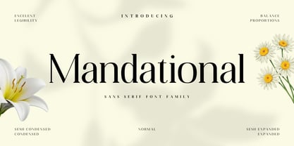 Mandational Font Poster 1