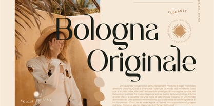 CCS Volgue Font Poster 10
