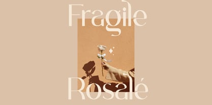 CCS Volgue Font Poster 9