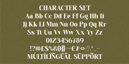 Elarion Font Poster 5
