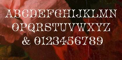 Coladero Font Poster 7