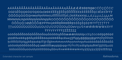 Trinket Sans Font Poster 9