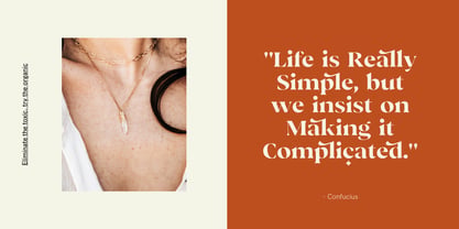 CCS Vickey Font Poster 4