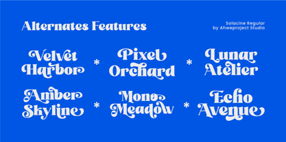 Solacine Font Poster 13