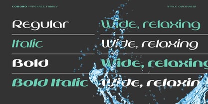 Cobono Font Poster 4