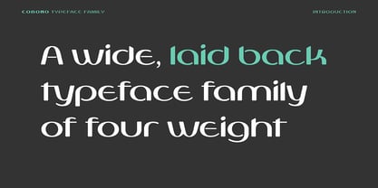 Cobono Font Poster 2
