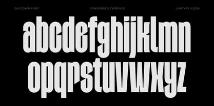 Daltown Font Poster 8
