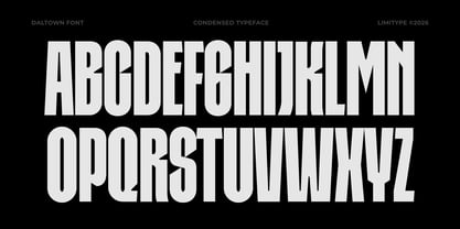 Daltown Font Poster 7
