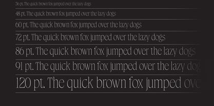 Yelops Font Poster 8