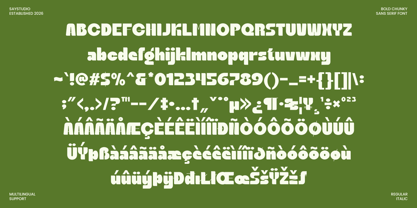 Sogra Font Poster 10
