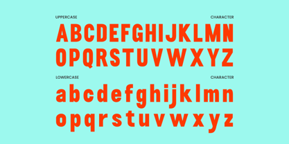 Tenue Font Poster 2