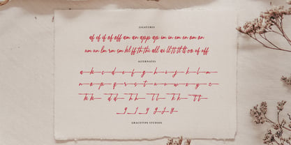 Qandeliya Font Poster 12