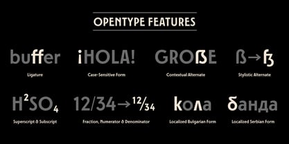 Fernoa Font Poster 15