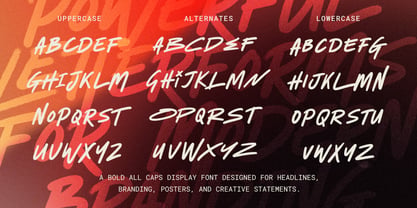 Mattrex Font Poster 9