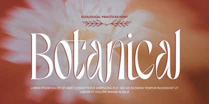 Ecological Practices Font Poster 4