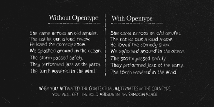 Hidden Surprise Font Poster 6