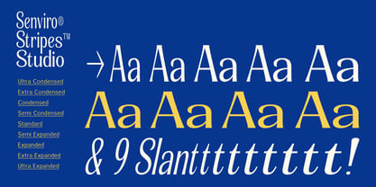 Senviro Font Poster 3