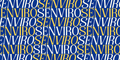 Senviro Font Poster 4