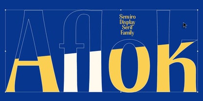 Senviro Font Poster 11