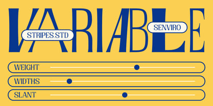 Senviro Font Poster 12