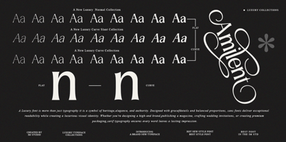 Amilent Font Poster 6