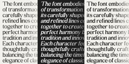 Amilent Font Poster 11