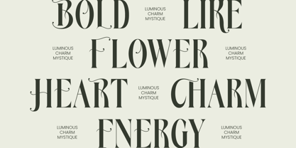 Royale Ambers Font Poster 8