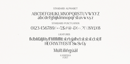 Kannesha Font Poster 6