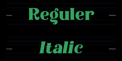 Auromiya Font Poster 11