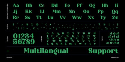 Auromiya Font Poster 12