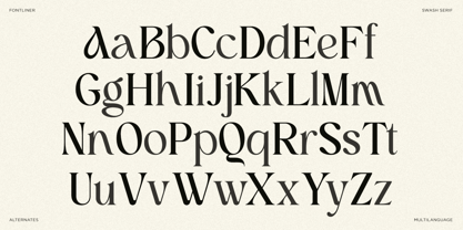 Blanch Narative Font Poster 6