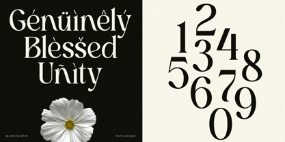 Blanch Narative Font Poster 7