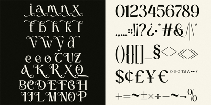 Blanch Narative Font Poster 8